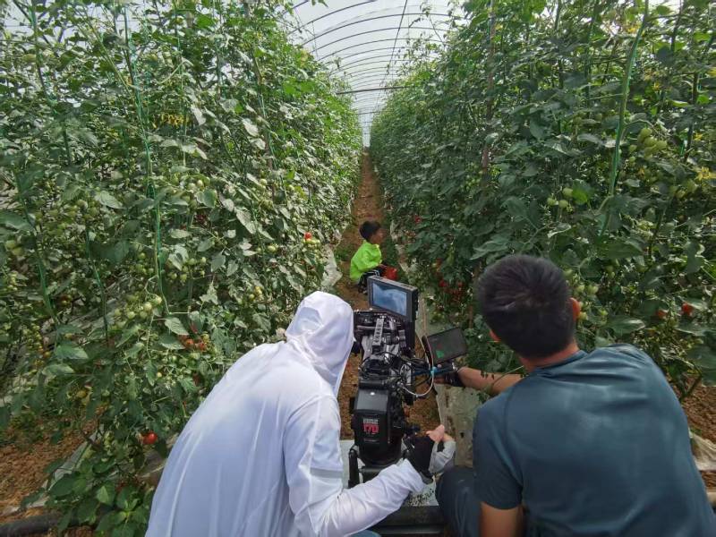 三门峡产品宣传视频拍摄公司进阶指南，助力品牌抢占传播高地